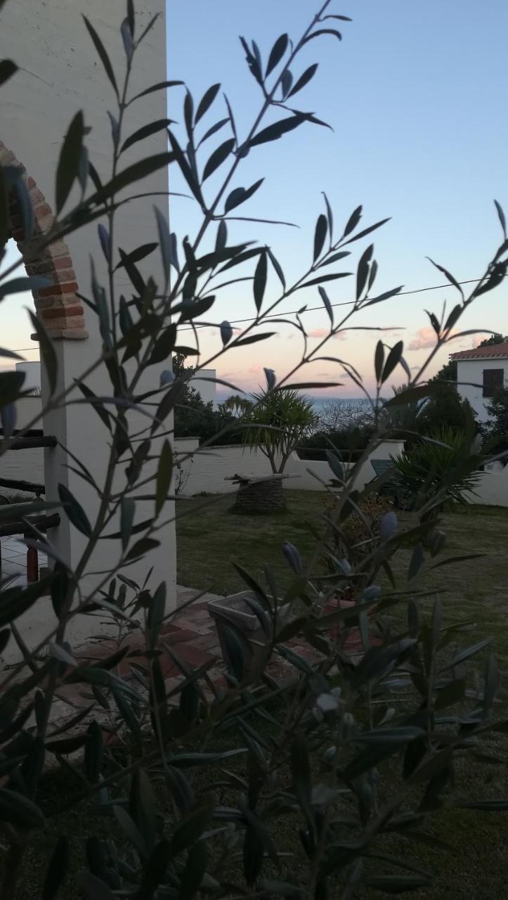 Villa Dolly Porto Columbu - Perd'E Sali Екстер'єр фото